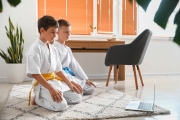 Little boys studying karate online at home